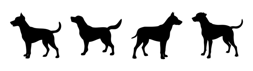 Silhouette of dog breeds great danes standing tall vector illustration dog silhouette art design