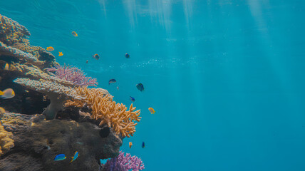 Underwater Coral Reef Scene with Tropical Fish Swimming in Turquoise Water, Sun Rays Penetrating the Surface, Marine Life, Aquatic Environment