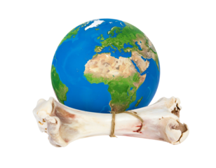 A realistic depiction of the Earth superimposed on a large bone, tied with twine, symbolizing fragility and environmental connection