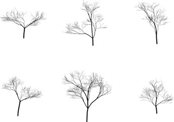Obraz premium Bare tree silhouettes set on white background