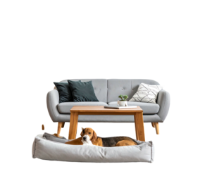 A relaxed dog lounges in its bed, beneath a wooden table and a gray sofa with pillows