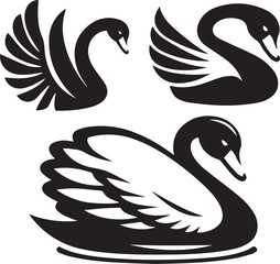 Elegant Swan in Black & White – Minimalist Monochrome Bird Photography