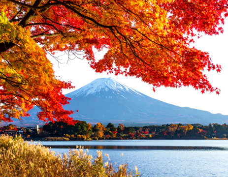A scenic vista shows a snow-capped mountain behind a lake with red and orange leaves and golden grass in the foreground
