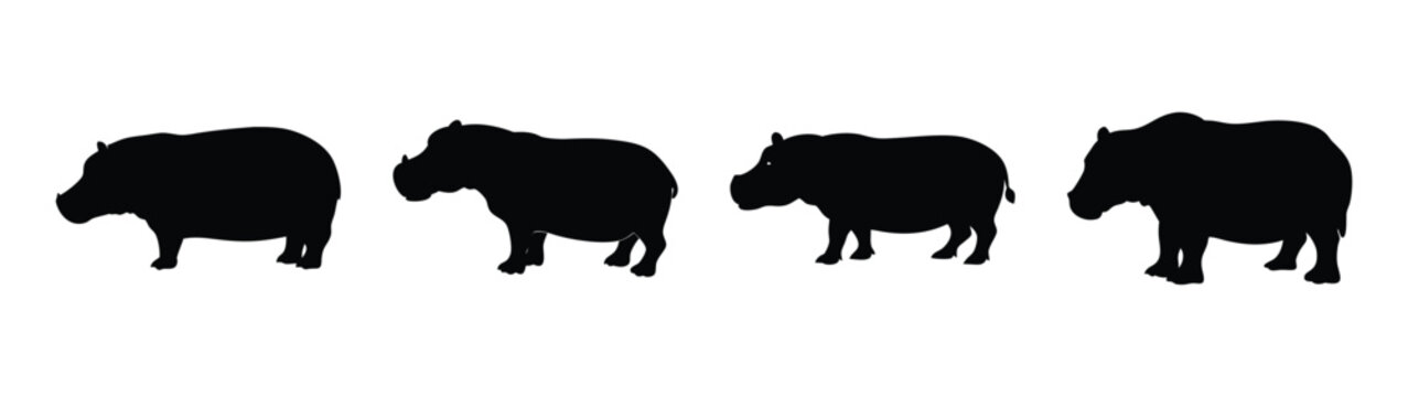 vector silhouette hippo
