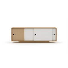 modern Japandi cabinet 3D illustration, matte finish, natural wood, minimal details