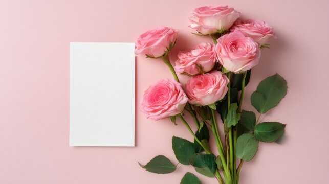 Pink roses and blank card on pink background