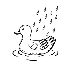 vector illustration of a duck