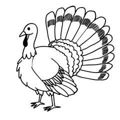 vector illustration of turkey