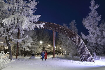 Women walk along the park avenue on a winter evening