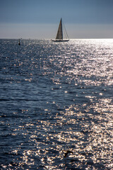 A sailboat sails on the Mediterranean Sea off the coast of Cinque Terre, Italy. The afternoon sun reflects on the water, creating golden glimmers that convey serenity, freedom, and natural beauty.