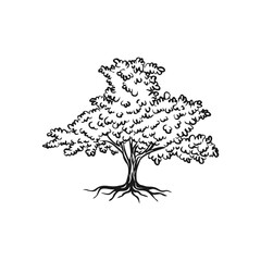 Handdrawn Tree Logo Icon.
A hand-drawn vector of a majestic tree with strong roots and lush foliage, illustrated in bold black sketch lines.