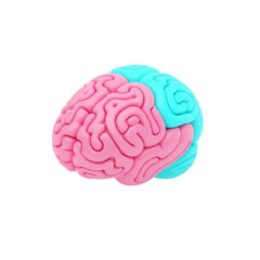 Stylized 3D rendering of a human brain model, highlighting different functional areas with distinct colors