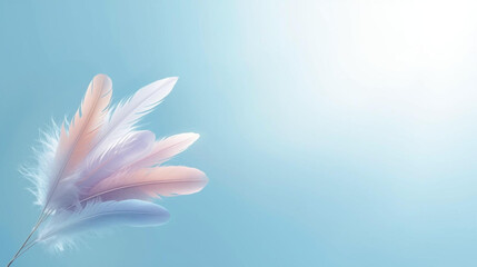 Elegant Arrangement of Delicate Feathers on a Serene Blue Background, Evoking Calmness and Gentle Beauty