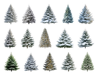 Obraz premium PNG Snow-covered evergreen trees collection, element set on transparent background