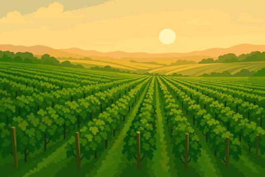 Sunset Over Vineyard. Lush green vineyard stretching into the horizon under a soft golden sunset, serene and picturesque, perfect