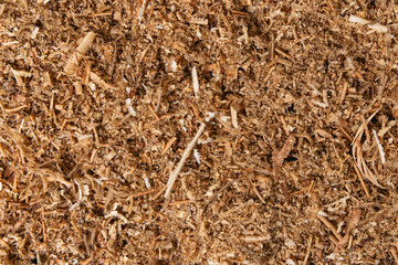 Zoom sur de la sciure et des copeaux de bois apr&egrave;s le travail de menuiserie.