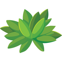 A Lush Green Succulent Plant with Multiple Layered Leaves Isolated on a Transparent Background in a Top Down View