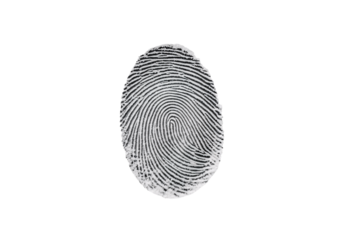 Black fingerprint with detailed ridge patterns showing unique biometric identification marks, isolated on a transparent background