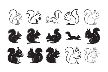 Obraz premium 15 PCS Collection Squirrel Line Art & Silhouette Vector. 
