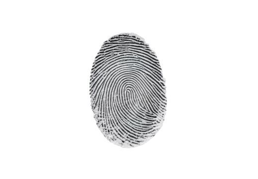 Black fingerprint with detailed ridge patterns showing unique biometric identification marks, isolated on a transparent background