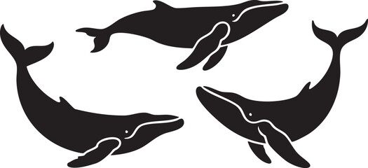 Set of Whale Silhouettes – Marine Animal Vector Illustration on White Background