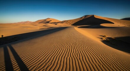 Vast Desert Sand Dunes Under a Clear Blue Sky.