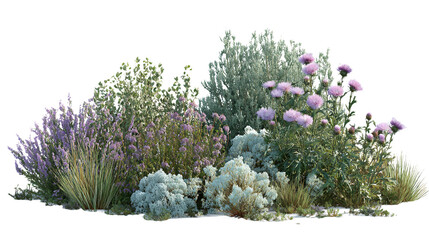 Collection of Purple Pink and Grey Flowers and Green Bushes with Transparent Background for Creative Projects and Compositions with Isolated Setting and Botanical Theme, PNG