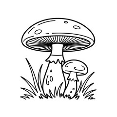 Simple line drawing of two mushrooms growing in grass
