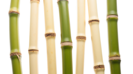 Bamboo stalks display variety of colors and textures, showcasing nature beauty and versatility. These plants symbolize strength and resilience