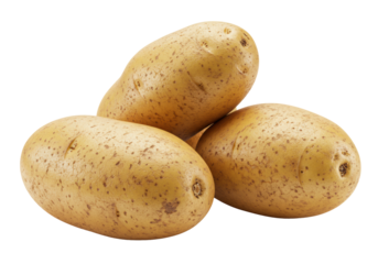 Three whole, raw, unpeeled Russet potatoes with natural soil specks and textured skin, casually clustered on a transparent studio background with ample copy space, healthy food concept