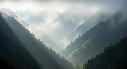 Misty mountain range view, green slopes under streaming light and layers of fog