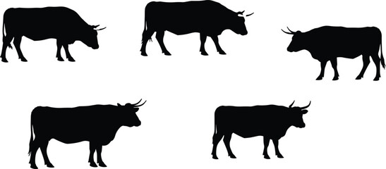 Cow silhouettes, livestock illustration, farm animal design, cattle poses, rural agriculture, dairy cow art, animal posture, farming template, black outline