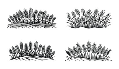 Four illustrations of wheat fields in a black and white graphic style