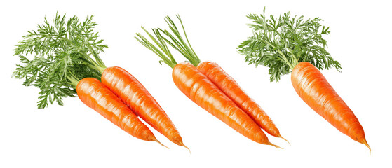 A vibrant display of fresh, organic carrots with lush green tops, arranged neatly against a white background, ideal for culinary use or health-related content