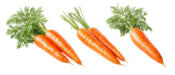 A vibrant display of fresh, organic carrots with lush green tops, arranged neatly against a white background, ideal for culinary use or health-related content
