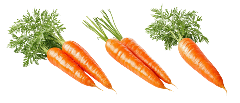 A vibrant display of fresh, organic carrots with lush green tops, arranged neatly against a white background, ideal for culinary use or health-related content
