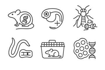 Epigenetic Model Icons. Line style icons of animal models in epigenetics: mouse epigenome diagram, zebrafish embryo with mark,