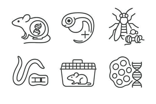 Epigenetic Model Icons. Line style icons of animal models in epigenetics: mouse epigenome diagram, zebrafish embryo with mark,