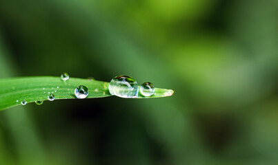 Macro image of water droplets on green leaf, dew drop
