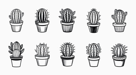 Collection of Black and White Cacti in Pots on Isolated White Background