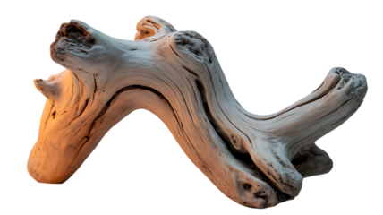 Weathered driftwood piece on a clean background, showcasing intricate natural textures and an organic, twisted form isolated on transparent background