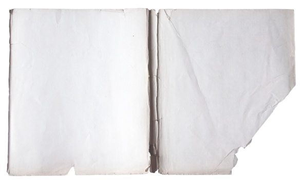 Blank Open Book with Torn Pages