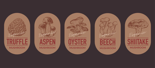 Set of label design templates, stamps, stickers with hand drawn mushroom illustrations, vector graphic elements