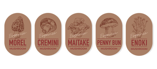 Set of label design templates, stamps, stickers with hand drawn mushroom illustrations, vector graphic elements