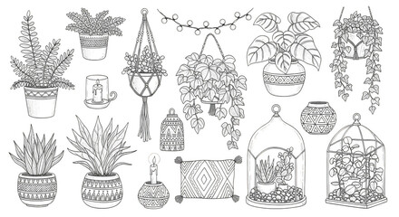 Obraz premium Whimsical botanical haven Plants macrame terrariums