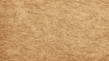 An abstract image of sandy texture that evoke feelings of warmth and natural simplicity. The rough and uneven surface catches the light.