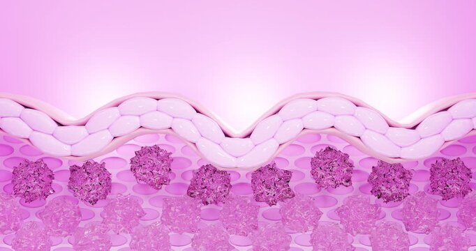 Collagen Activation, Skin Firming and Plumping , Pink Clinical Cosmetic Concept.
