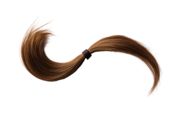 Brown hair ponytail tied with elastic isolated on transparent background. Brown ponytail hair attachment isolated on white background.