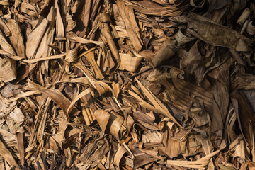Organic Background of Dried Banana Leaves and Plant Debris Texture