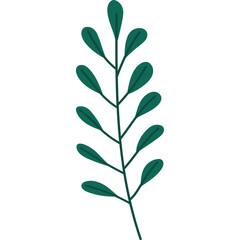 A Single Dark Green Leafy Stem with Small Oval Leaves Extending Upwards Against a Clean White Transparent Background Simple Botanical Illustration